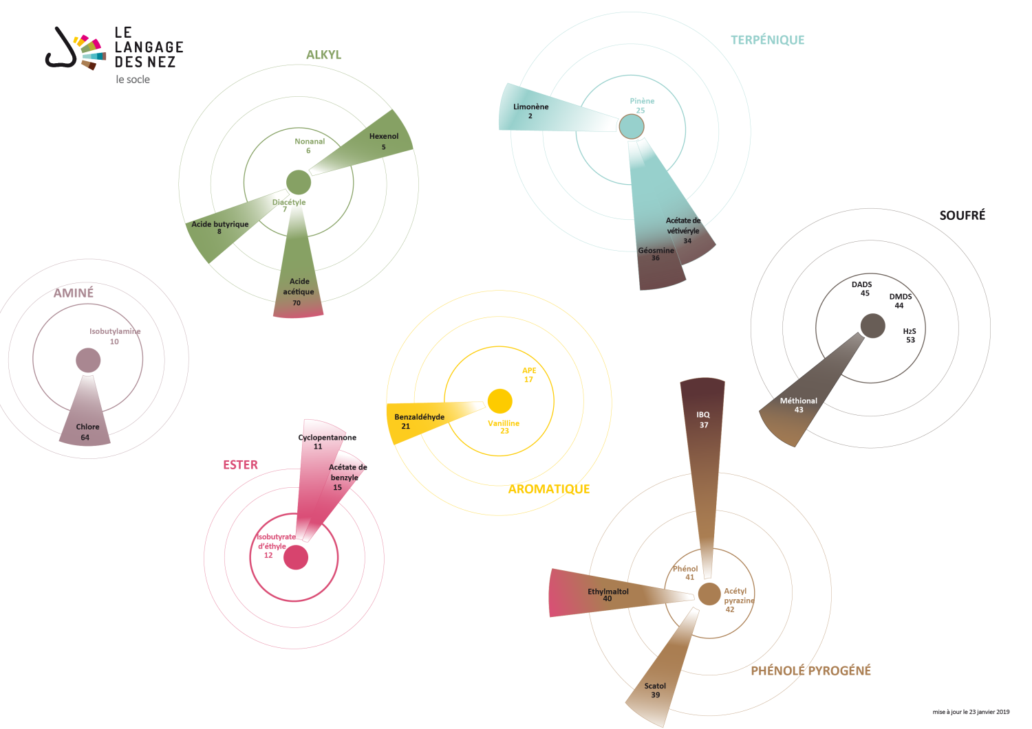 Le socle du Langage des Nez
