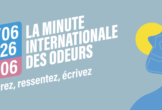 Mio_Bannière web article