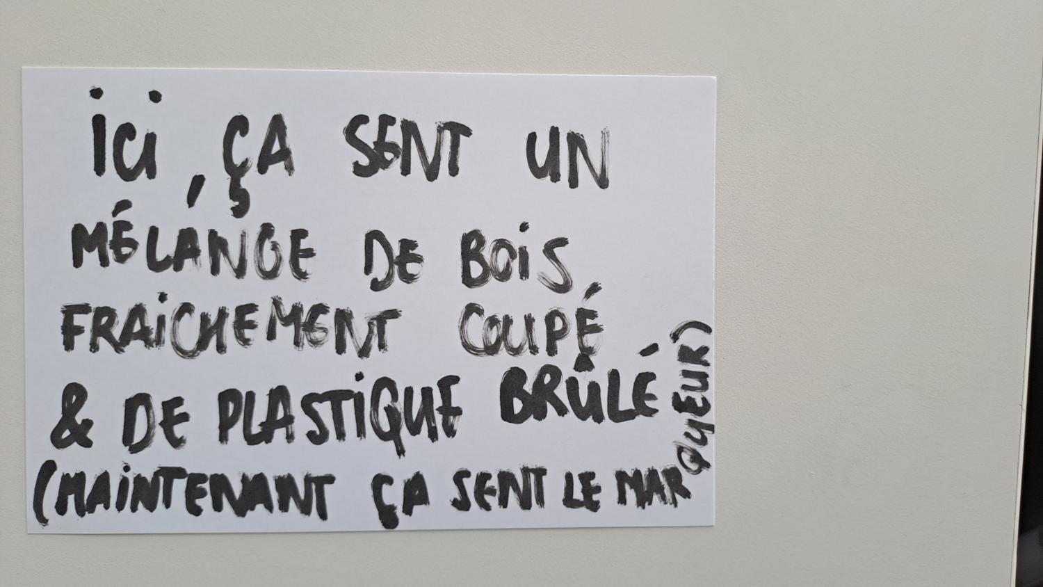 Bristol récolté pendant La Minute internationale des odeurs 2024 (crédit-photo : Atmo Normandie)