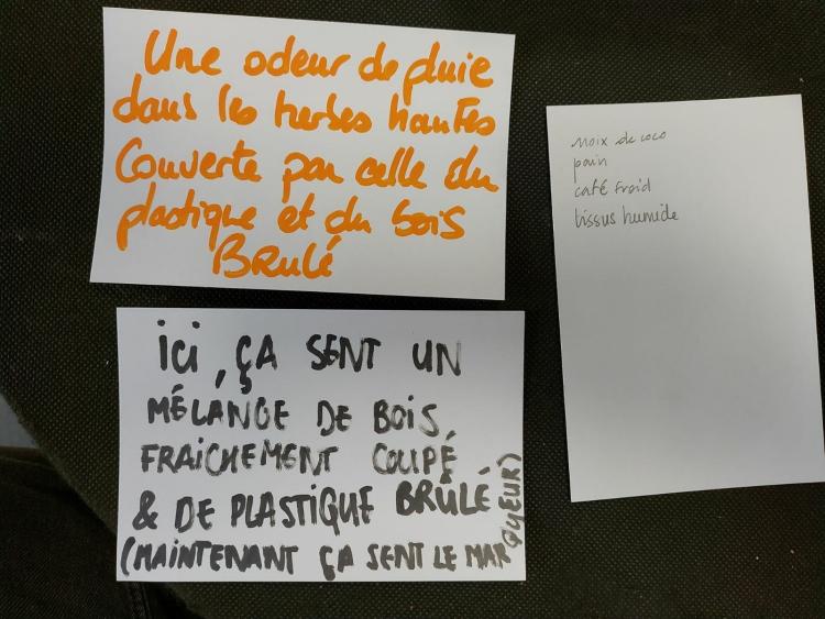 Bristols récoltés pendant La Minute internationale des odeurs 2024