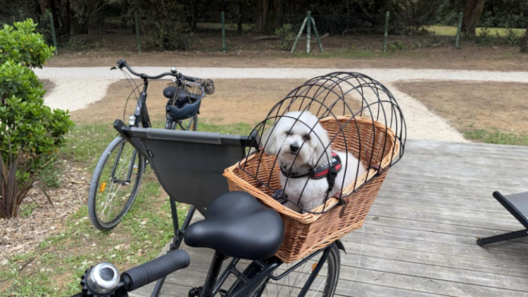 Mai à vélo