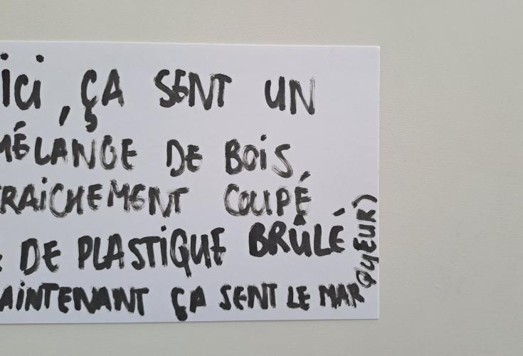 Bristol récolté pendant La Minute internationale des odeurs 2024 (crédit-photo : Atmo Normandie)