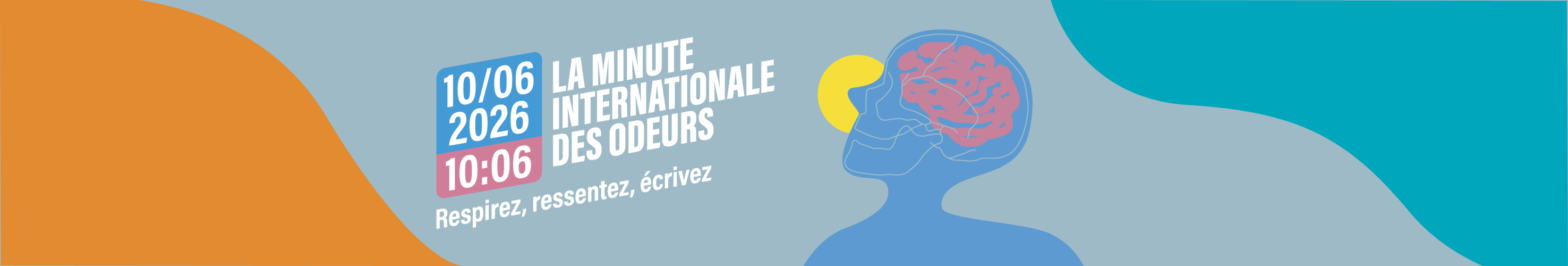 Bannière LinkedIn (2350*398px)