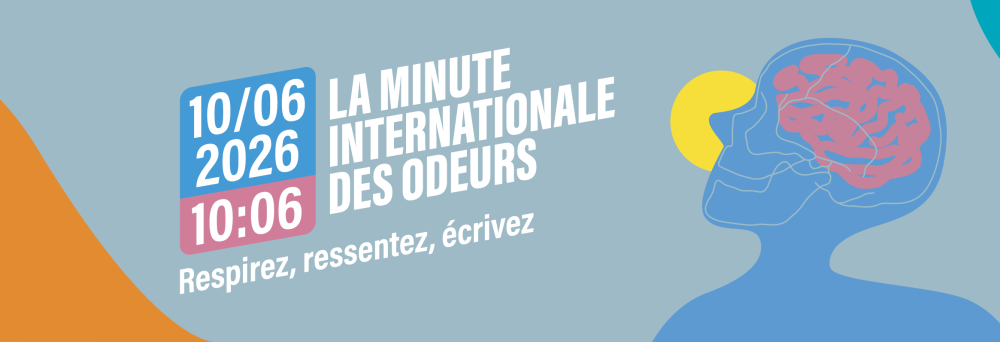 Mio_Bannière web article