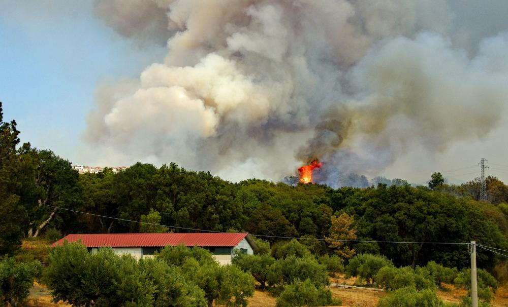 Photo_incendie_fumée