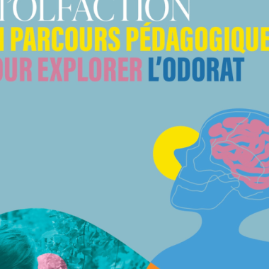 Introduction à l'olfaction