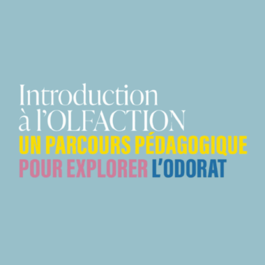 Bannière guide pédagogique