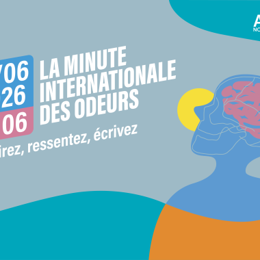 Bannière Site web (800*550px)